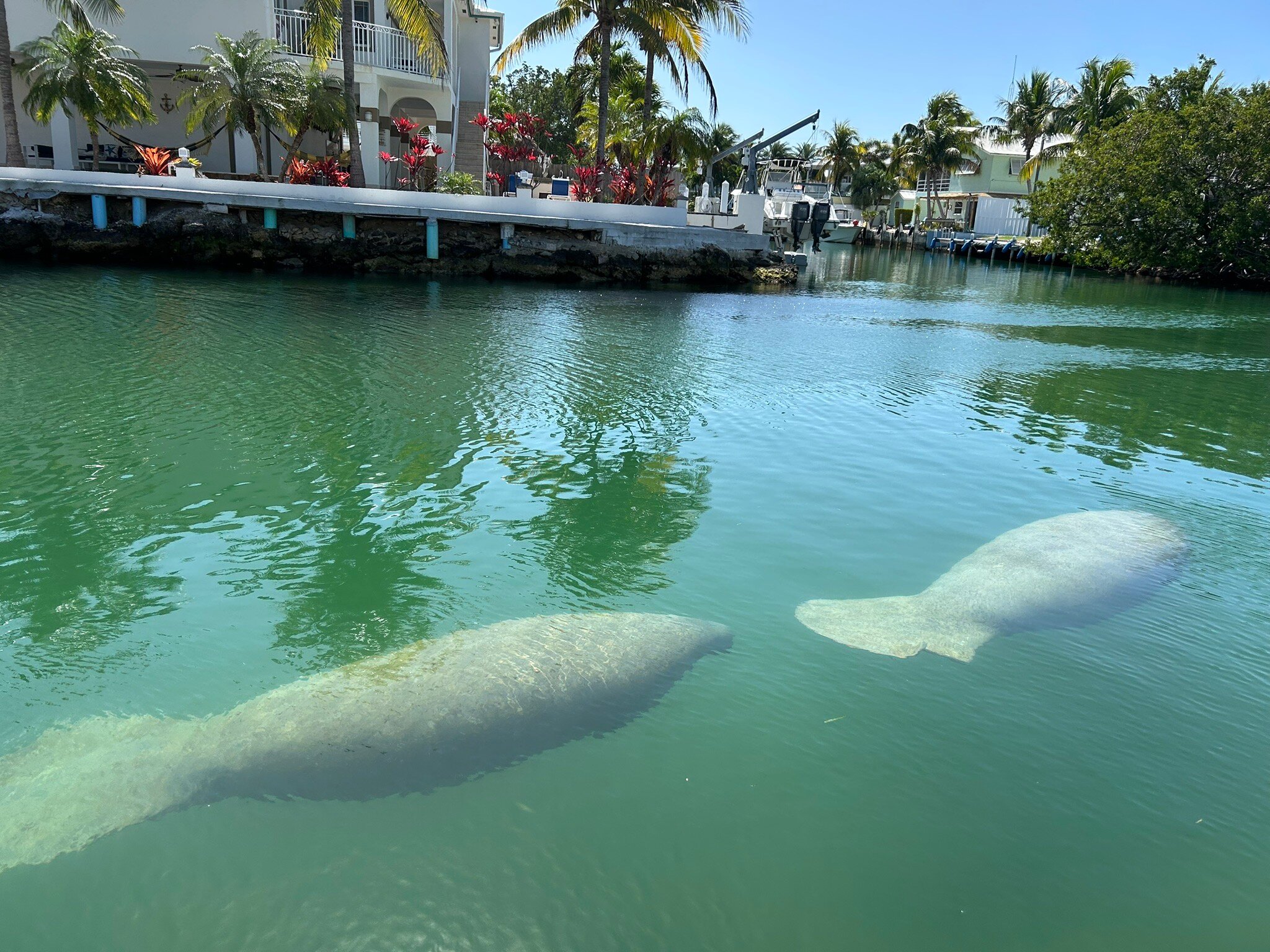 Creekside Inn Islamorada-官方