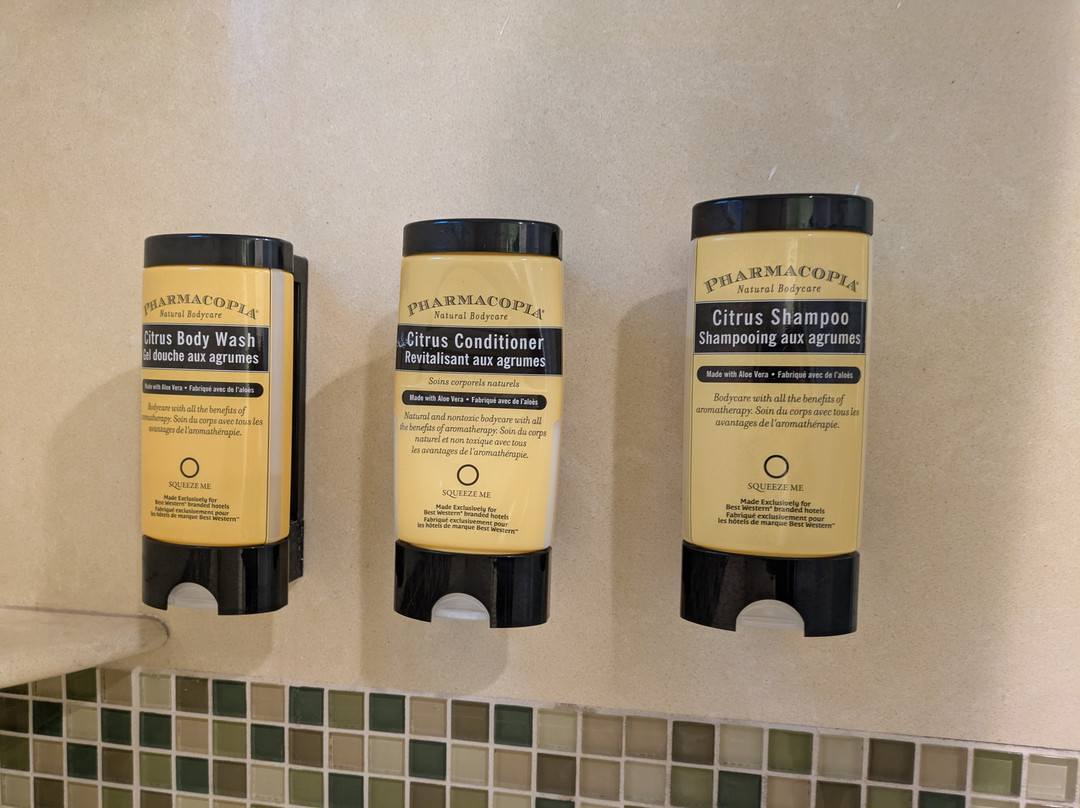 贝斯维斯特里维埃拉酒店主图