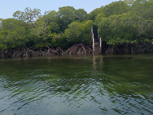 Safari In Kenya Con Batman E Gianni-瓦塔木必去景点