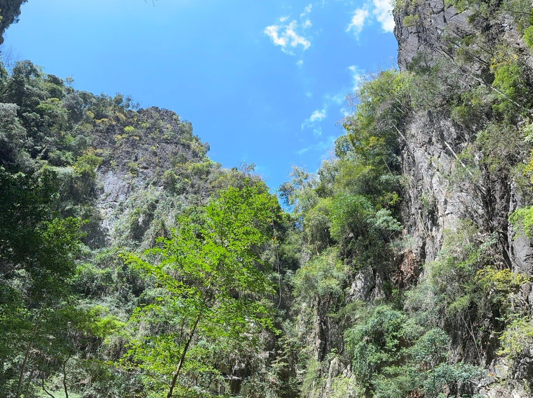 Green Group Travel-兰塔岛必去景点