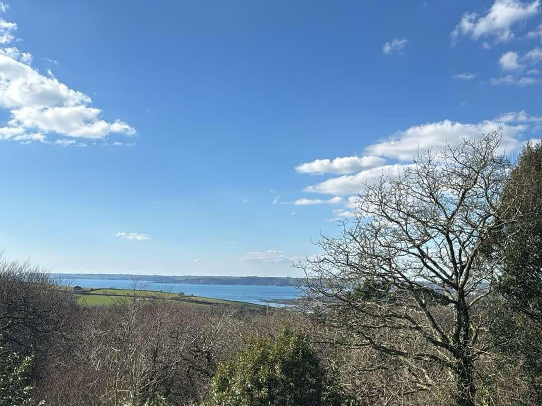 Trenython Manor主图