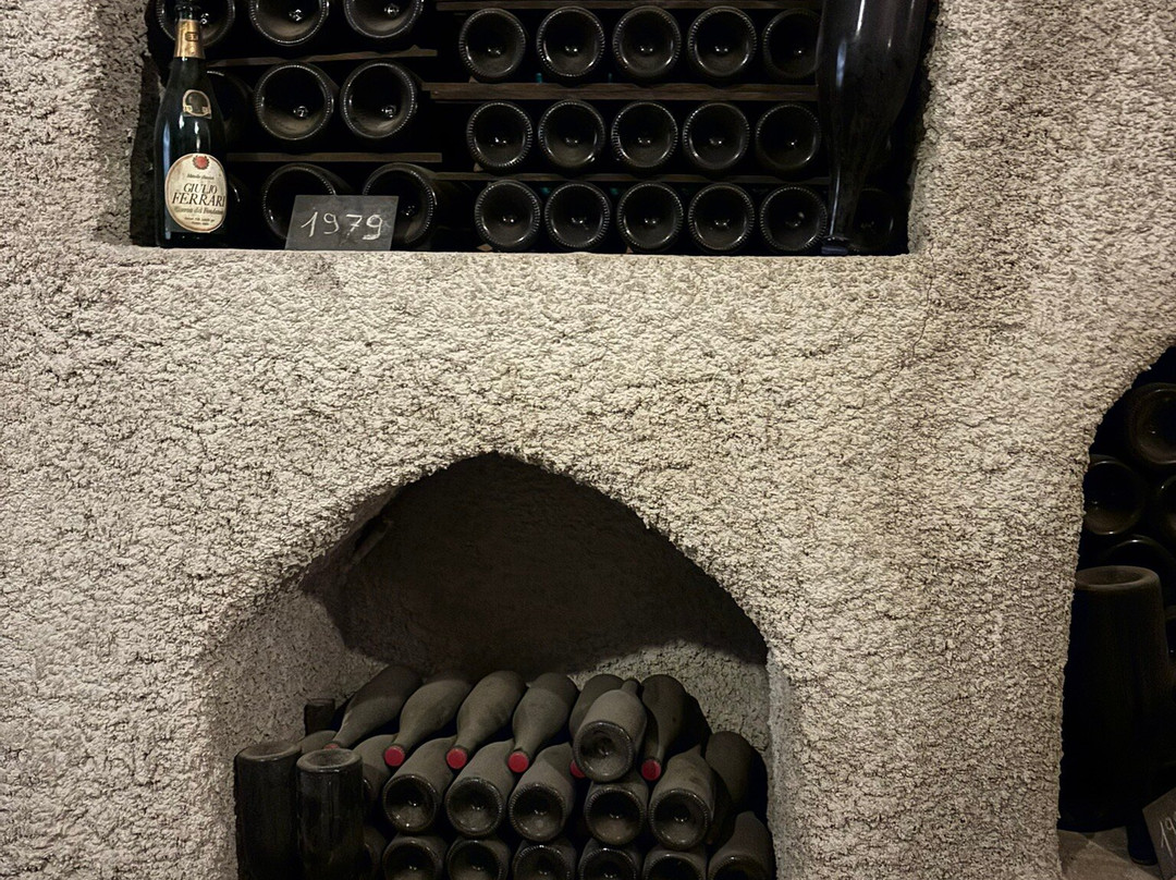 Cantine Ferrari F.lli Lunelli景点图片