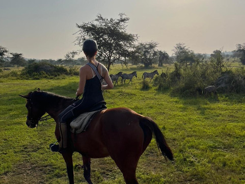 Lalu African Tours-恩德培必去景点
