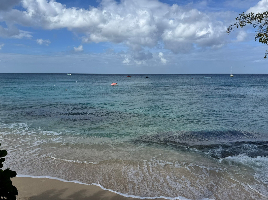 Paynes Bay Beach-Paynes Bay必去景点