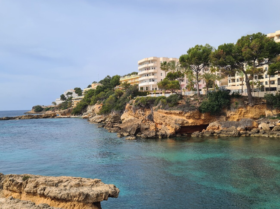 The Square Santa Ponsa-圣庞沙必去景点
