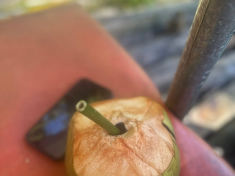 MJDTours-蒙特戈贝必去景点