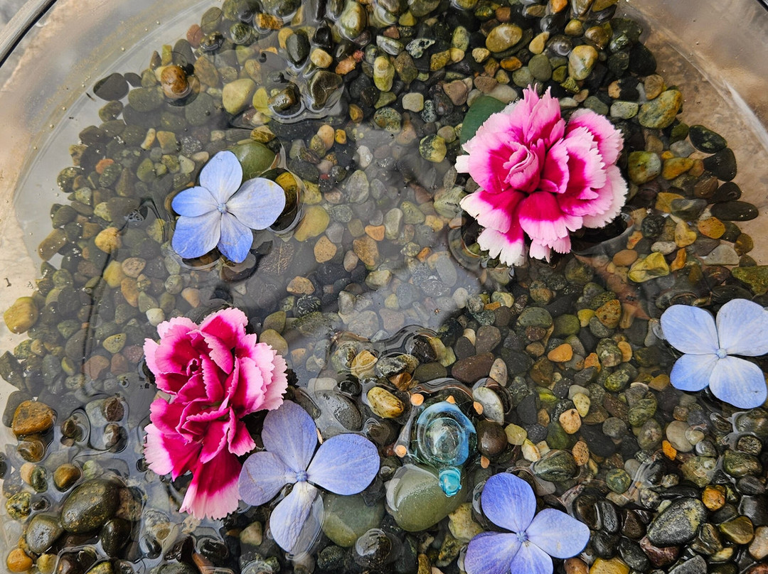 Spa Mónica Cabrera-利马必去景点