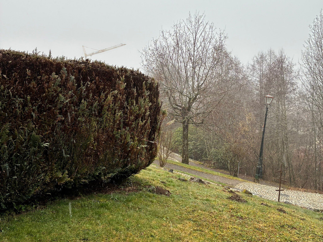 Hotel Tannenhof Lichy主图