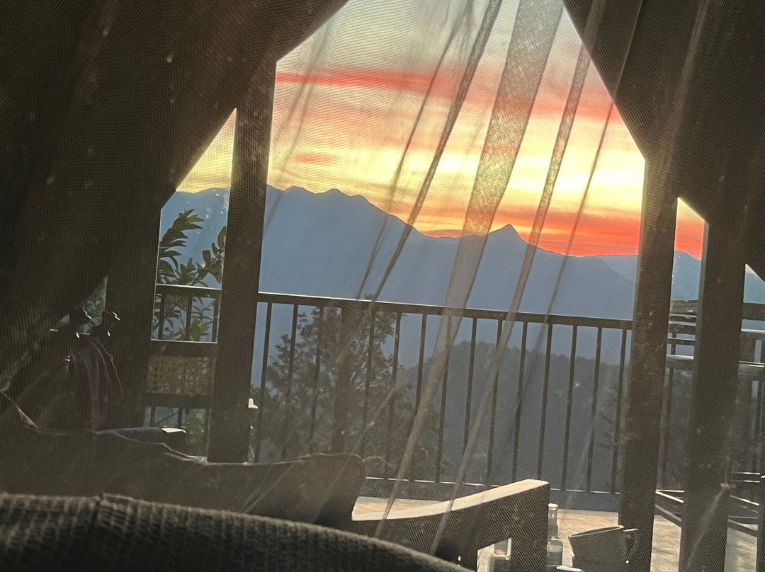 玛杜可茶园生态旅馆主图