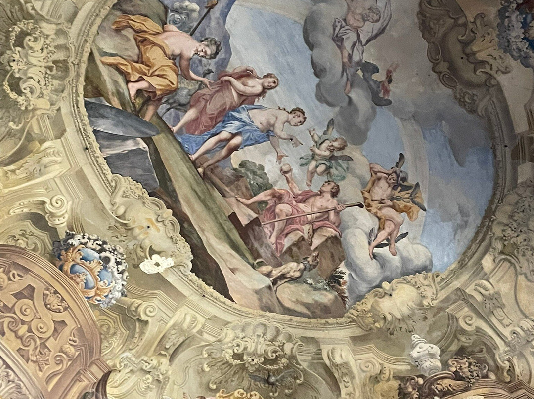 Palazzo Gozani Di Treville景点图片