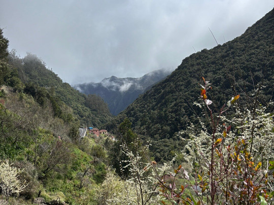 Madeira Electric Tours-沙尔必去景点