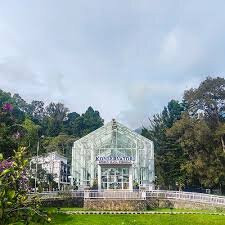 Cibodas Botanical Garden-Cianjur必去景点