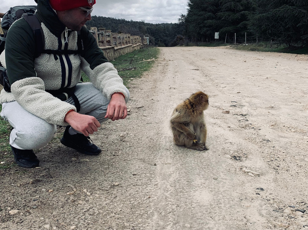 Jari Reda-Azrou必去景点