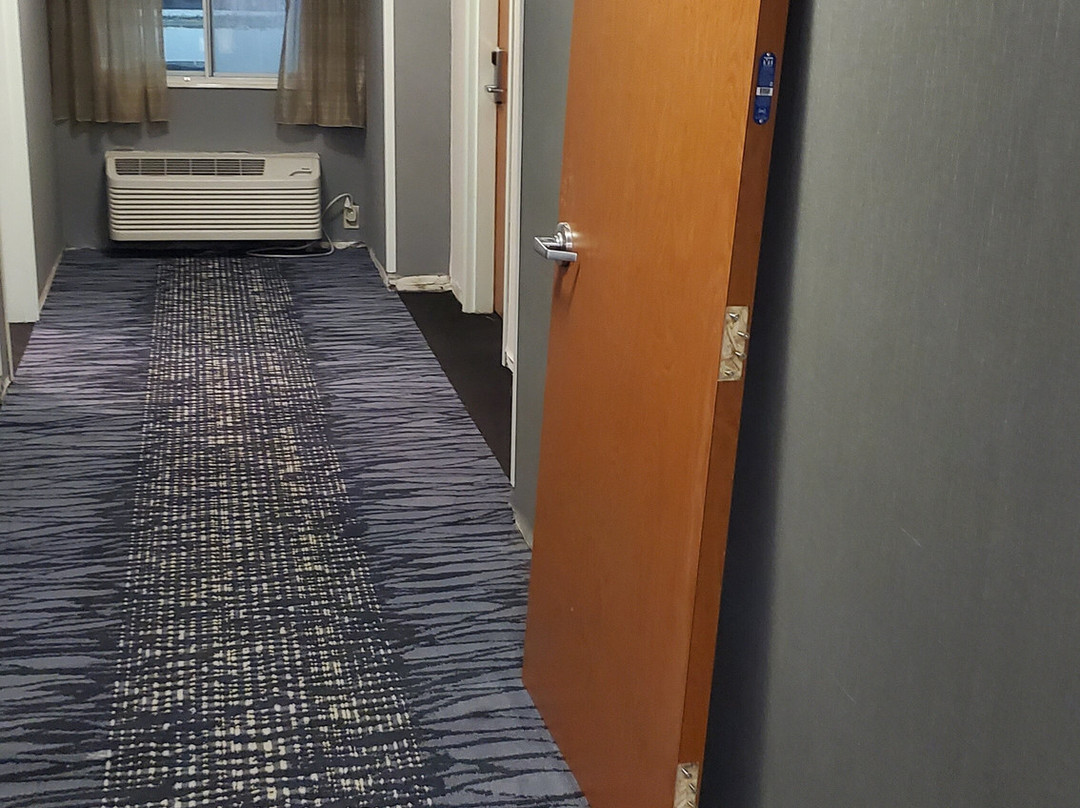 Fairfield by Marriott Inn & Suites Saginaw主图