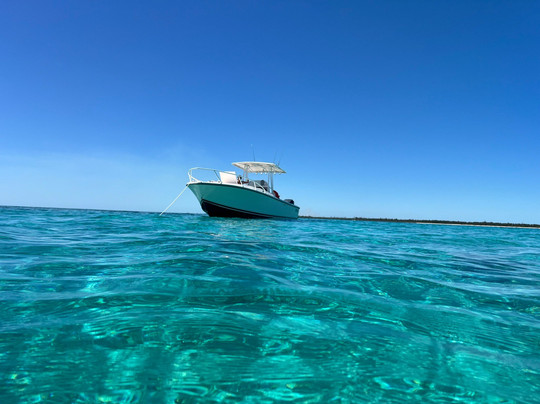 ​​​​​​​​​Ocean Motion Water Sports-弗里波特必去景点