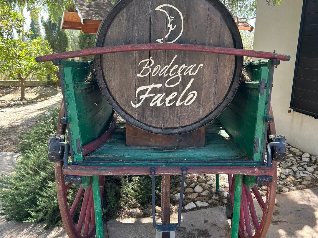 Bodegas Faelo景点图片