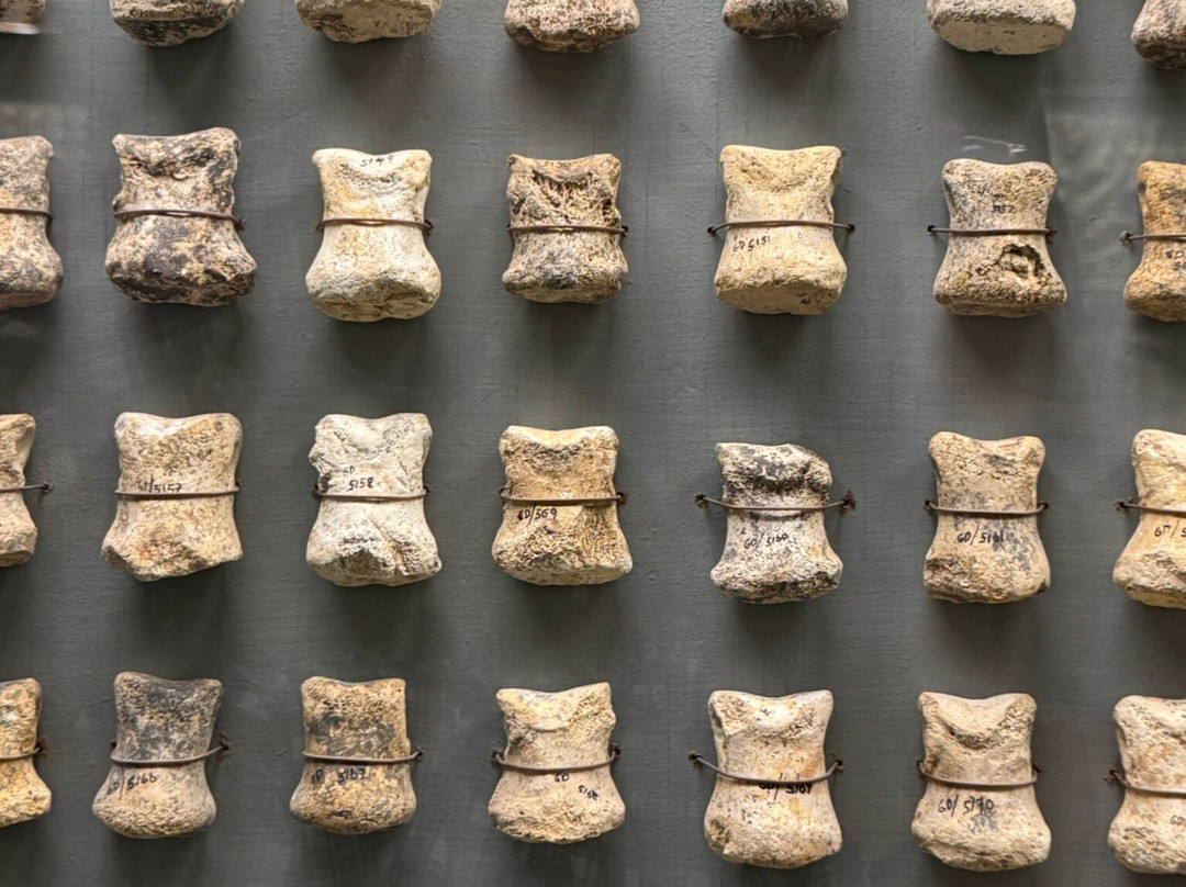 Ghar Dalam-Birzebbuga必去景点