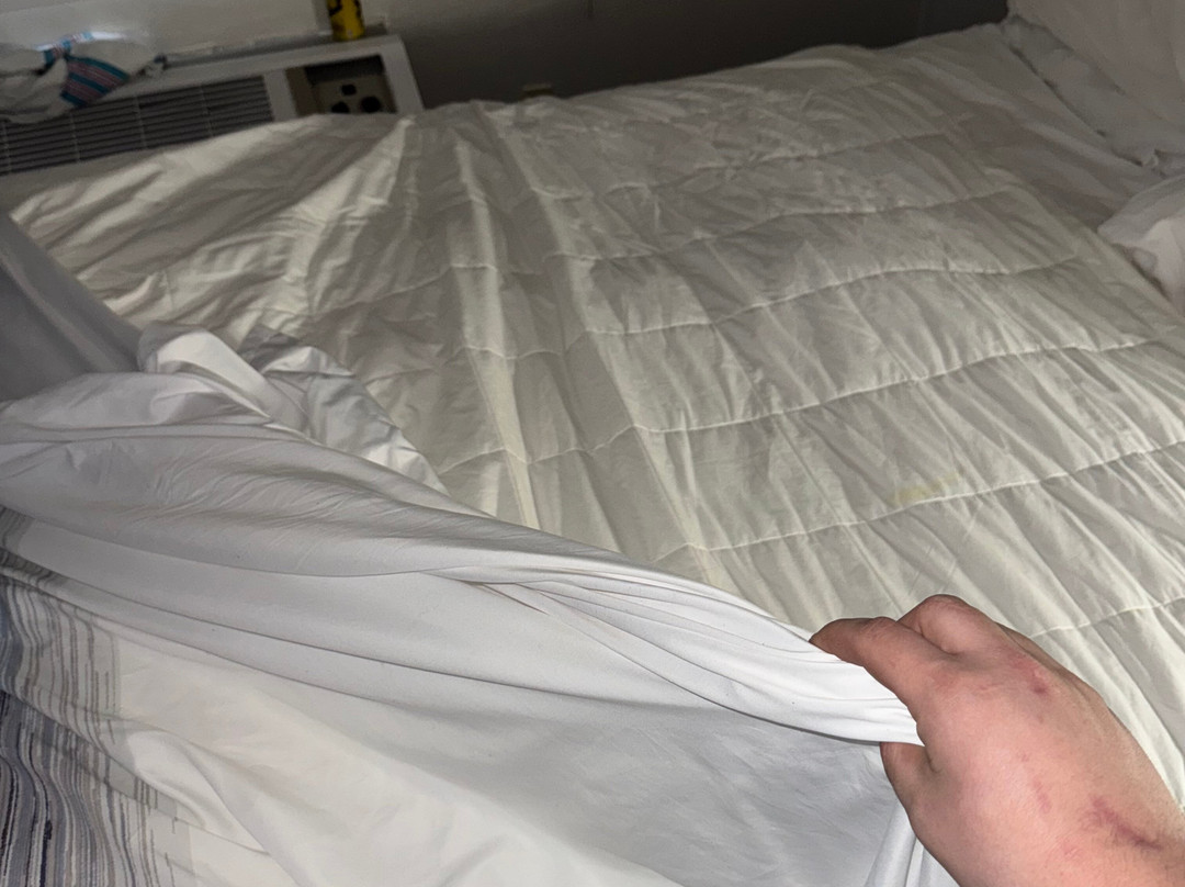 AmericInn by Wyndham Green Bay Near Stadium主图