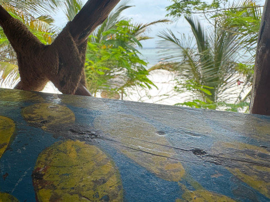 Mambo Paradise主图