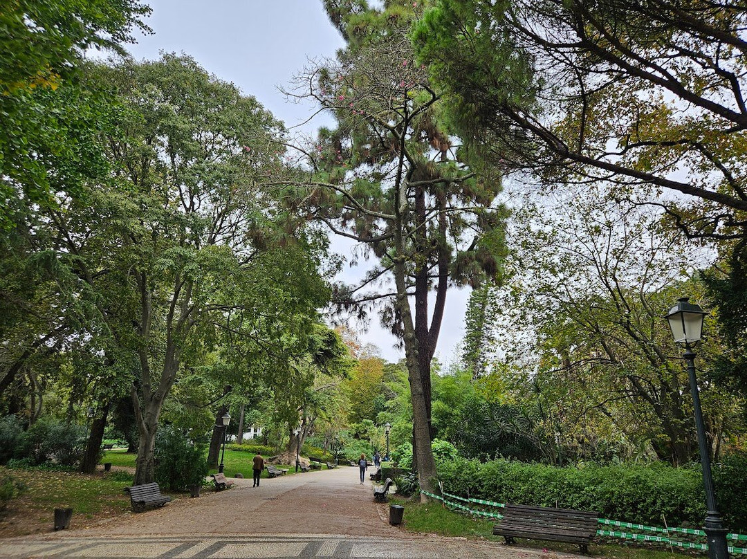 Jardim Da Estrela Park-里斯本必去景点
