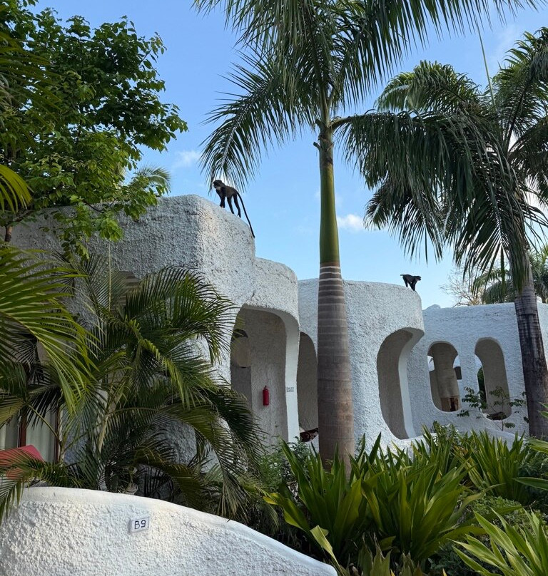 Ocean Village Club主图