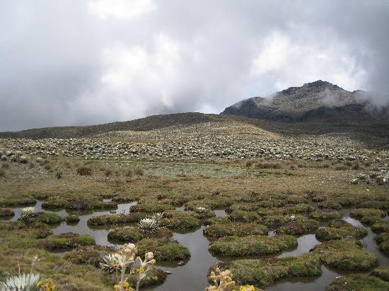 Posada Turistica Niquitao主图