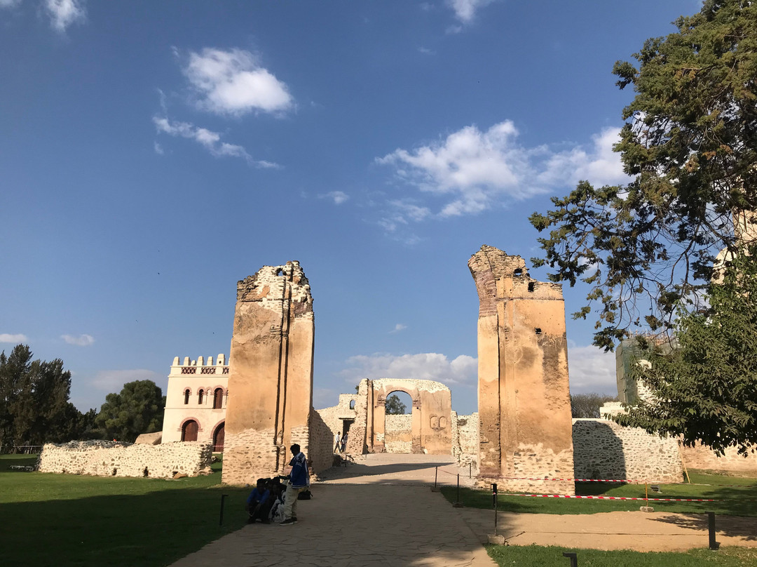 Simien View Tour & Travel景点图片