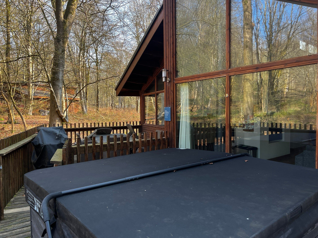 Blackwood Forest-温彻斯特必去景点