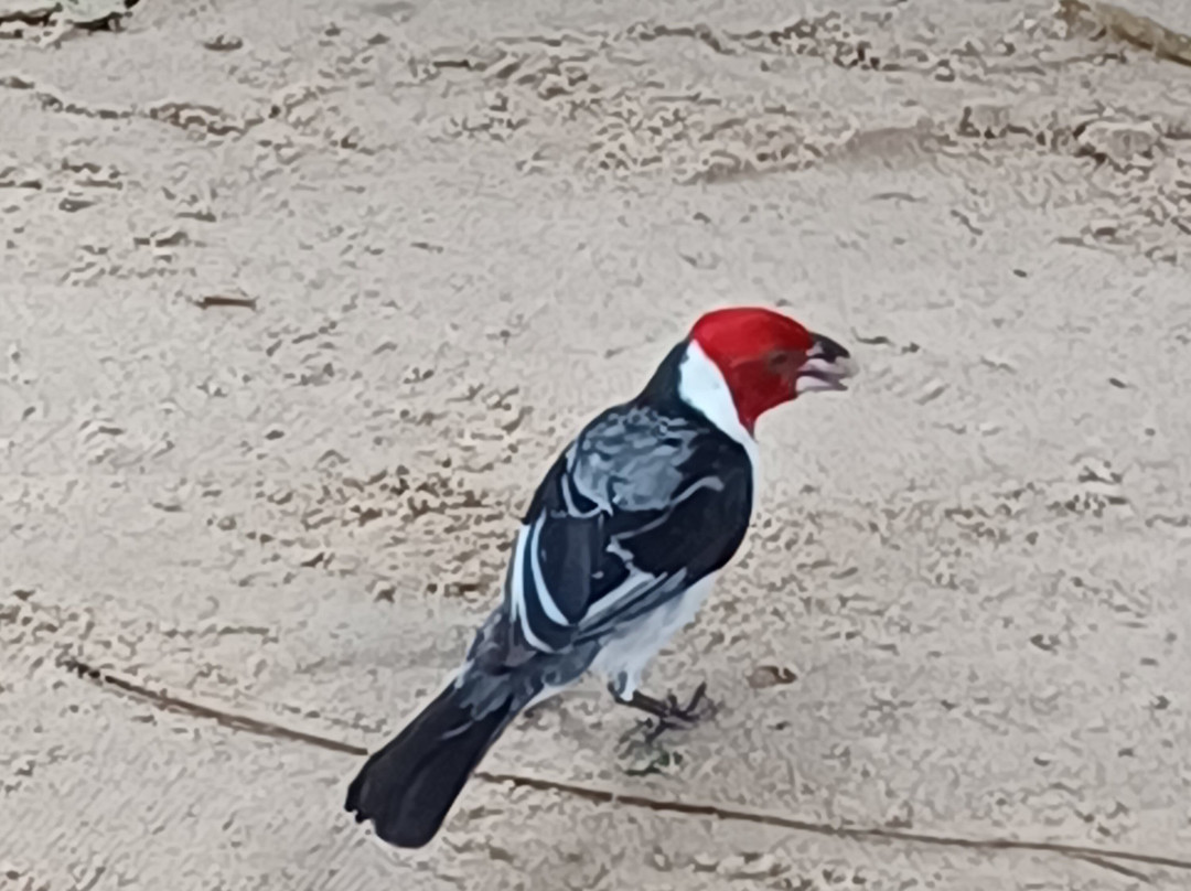 Pousada Preamar主图