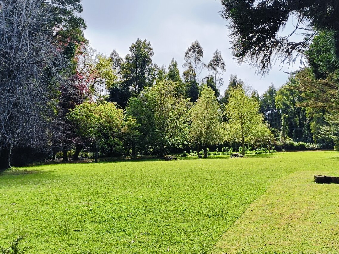 Enotel Santo Da Serra主图