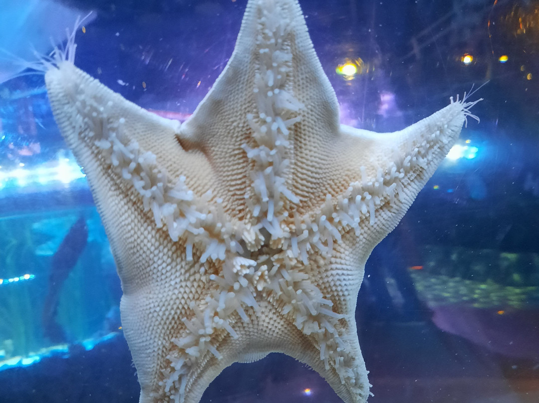 SEA LIFE Helsinki景点图片