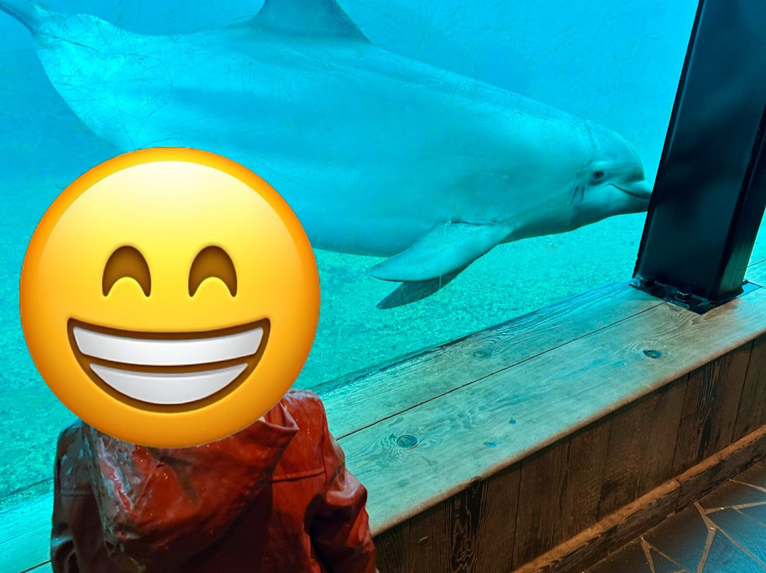 Dolfinarium-Harderwijk必去景点