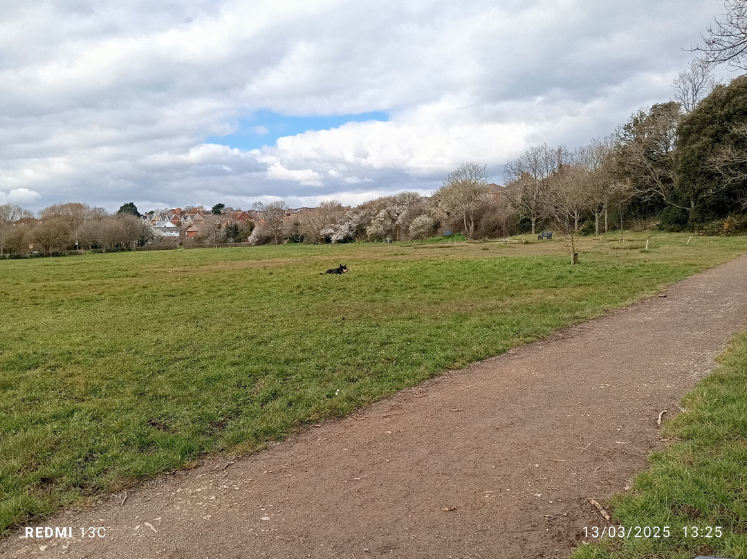 Radipole Park and Gardens-韦茅斯必去景点