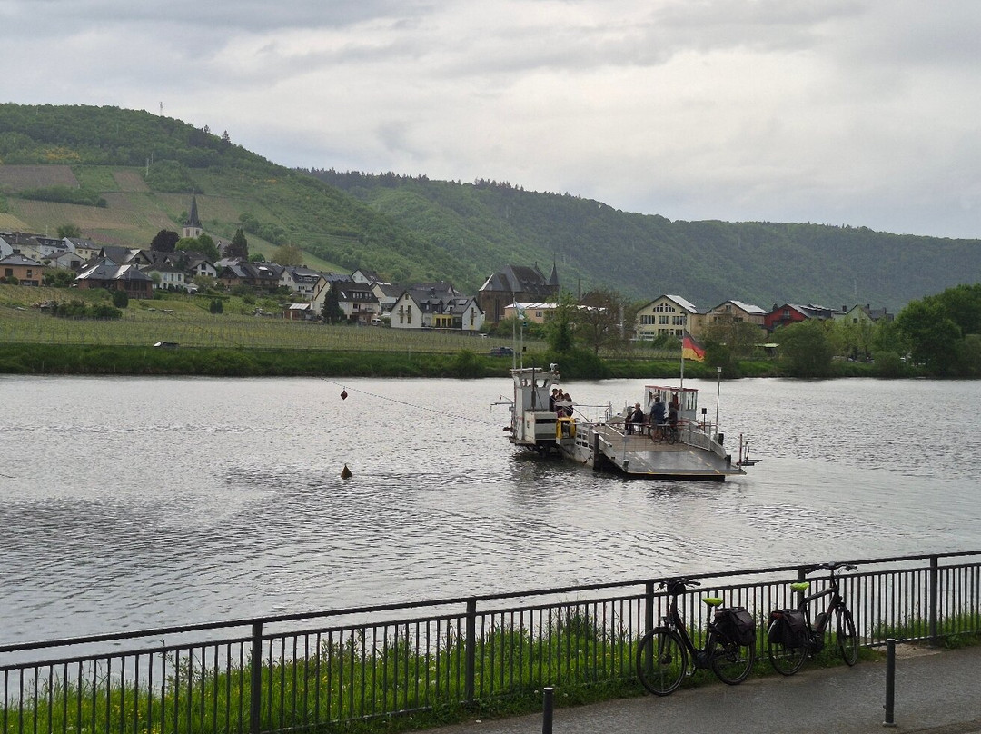 Hotel Haus Burg Metternich主图