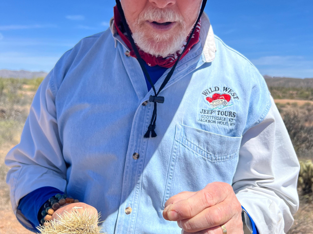 Wild West Jeep Tours-斯科茨代尔必去景点