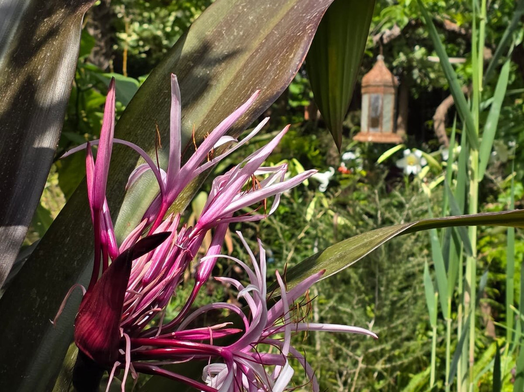Jardín Botánico La Almunya del Sur-艾尔艾吉多必去景点