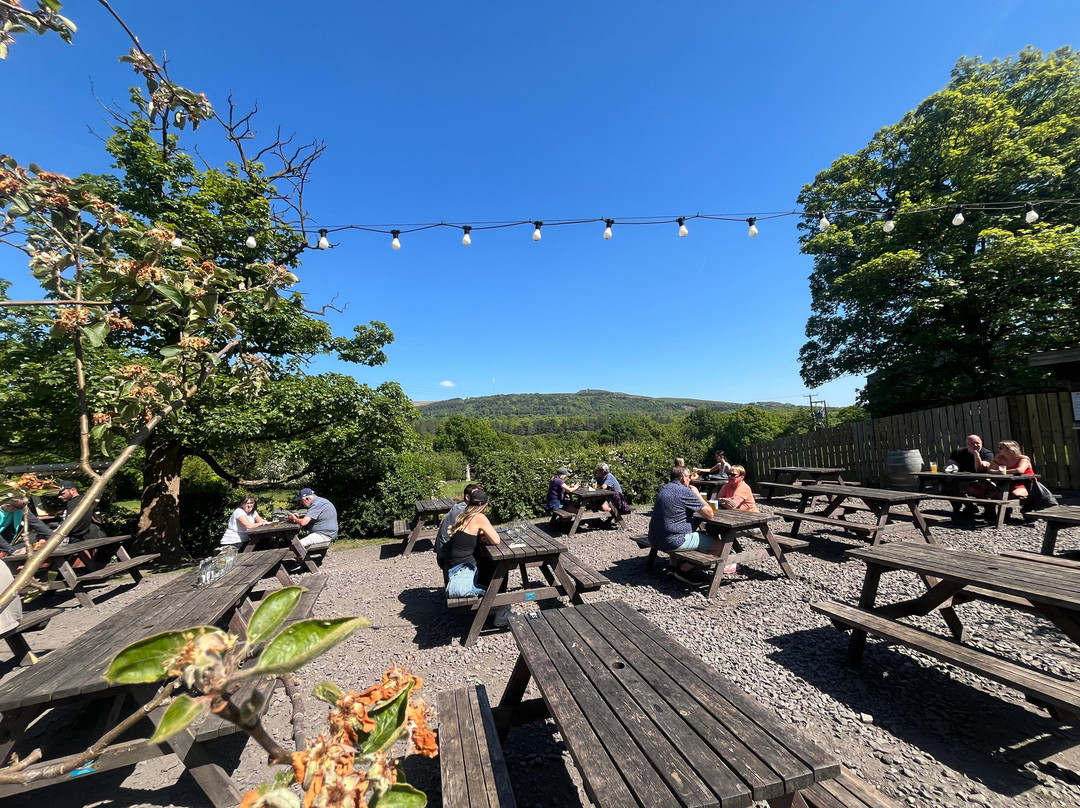 Rivington Brew Co Tap