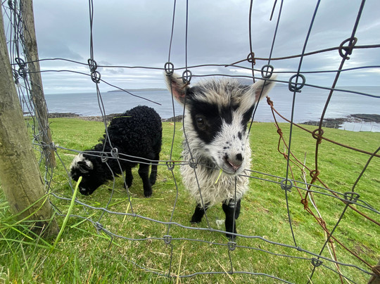 Visit Torshavn-托沙文必去景点