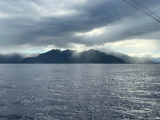 Live Bait Sport Fishing-怀厄奈必去景点