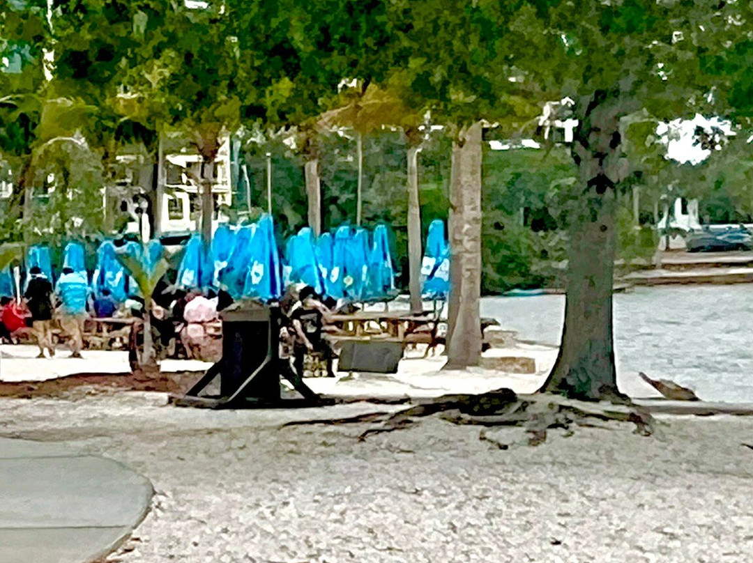 Unconditional Surrender Sculpture-萨拉索塔必去景点