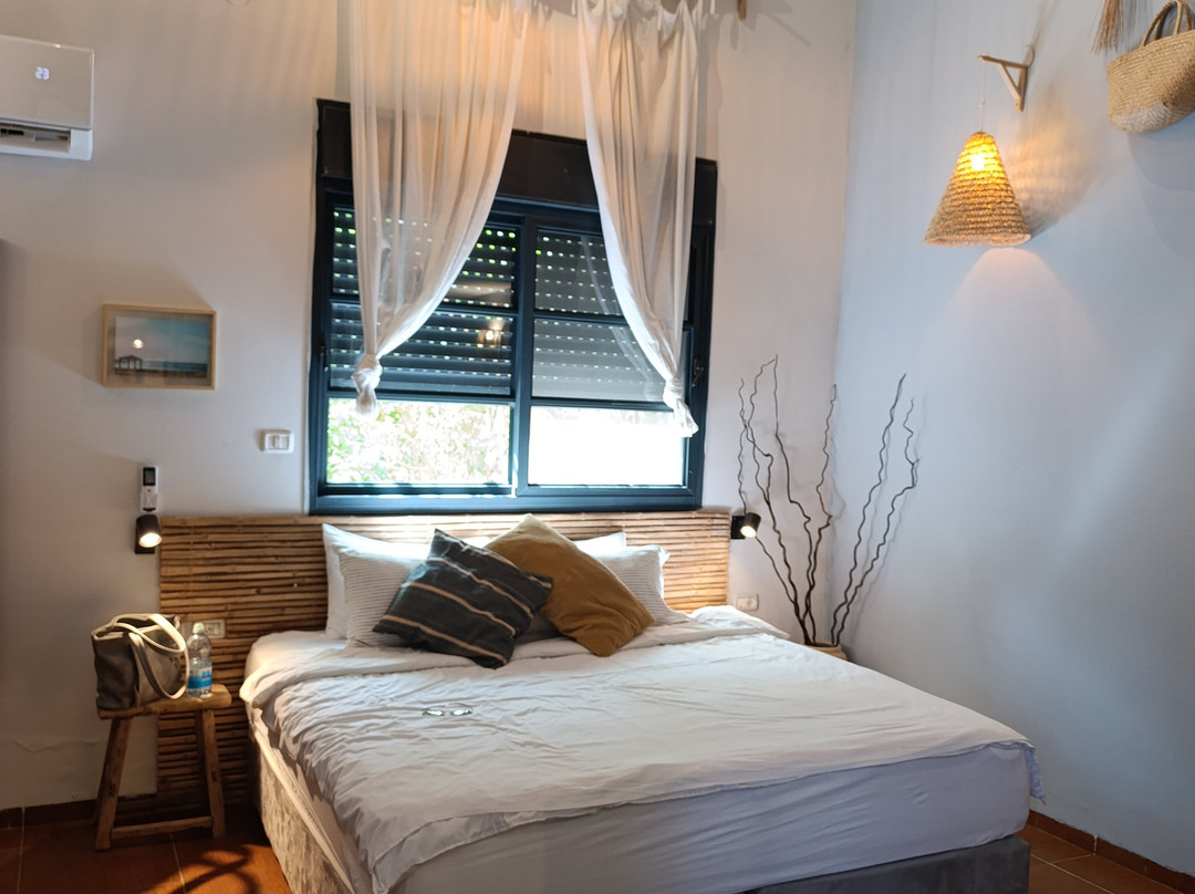 Dolphin Village主图