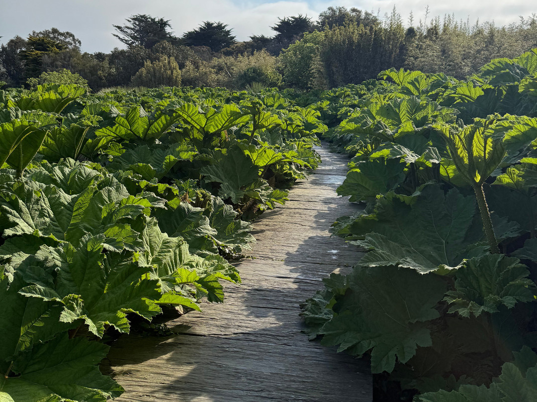 Jardin botanique de Vauville-Vauville必去景点