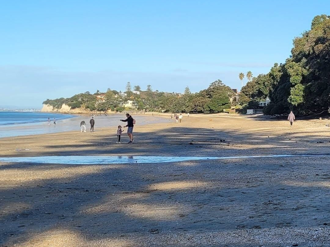 塔卡普纳海滩-奥克兰中心地区必去景点