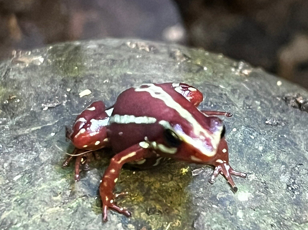 Shaldon Wildlife Trust-Shaldon必去景点