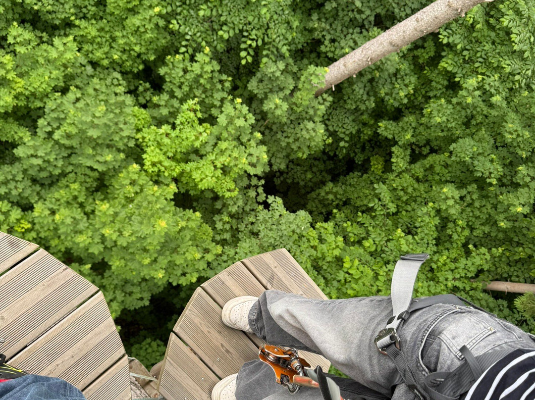 Adventure Park Rheinfall-诺伊豪森必去景点