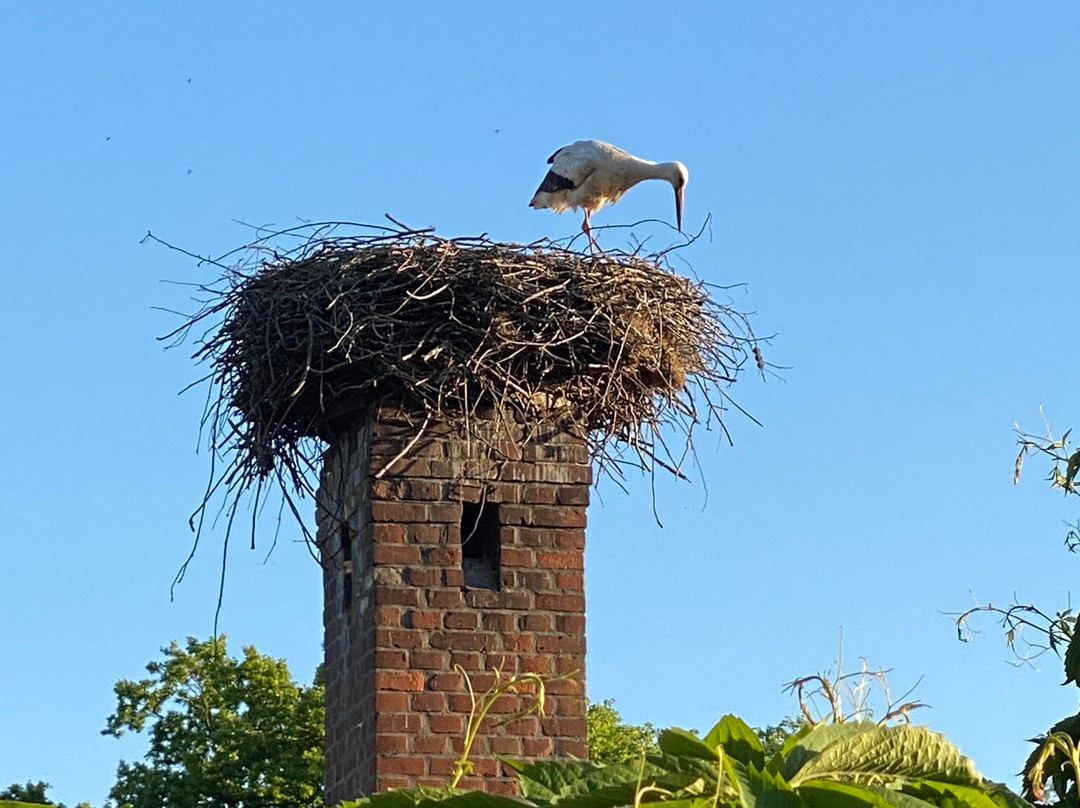 ahead burghotel主图