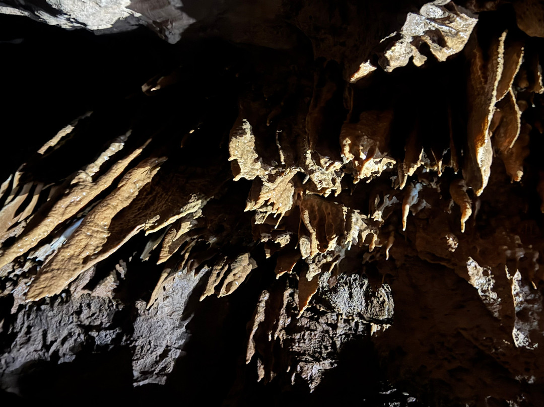 Tazekka National Park景点图片