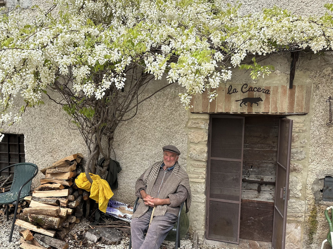 The Black Truffle Lodge主图