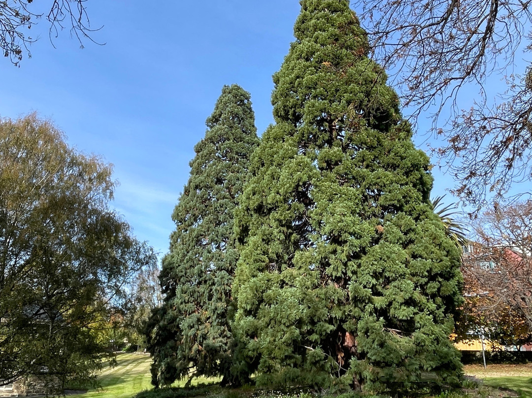 St. David's Park-霍巴特必去景点