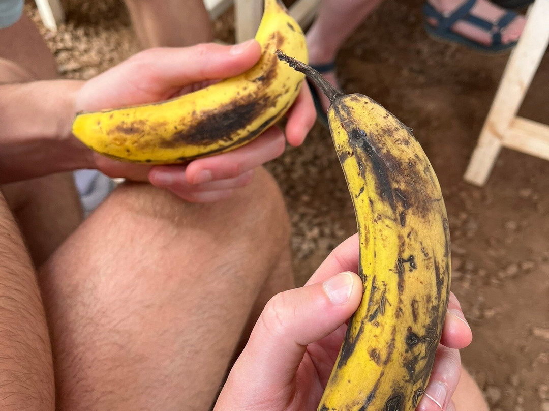 Finca Las Margaritas Banana Experience-拉斯加勒塔斯必去景点